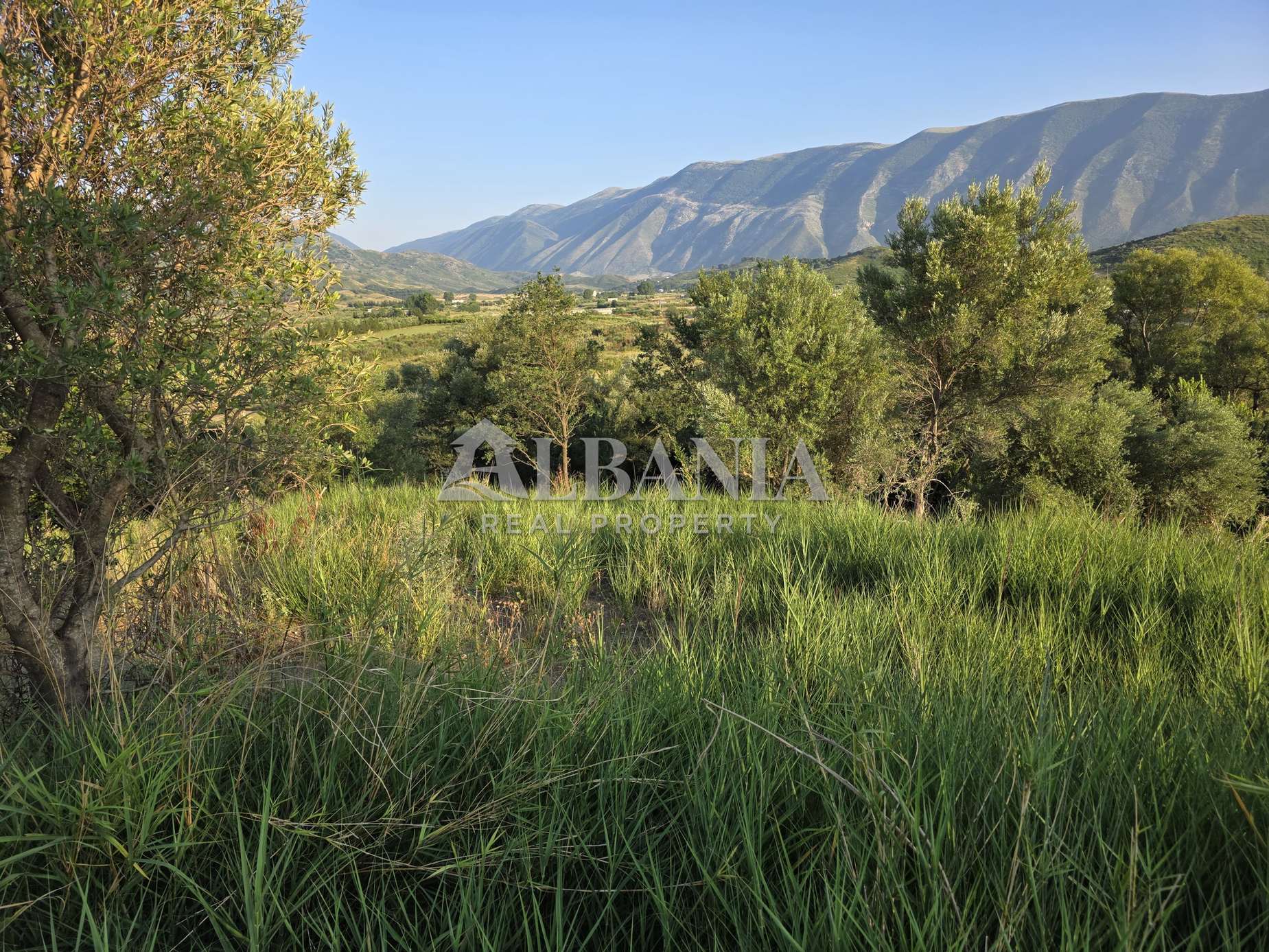 Parcelas 8 000 m² Tragjas, Albania